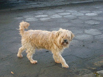 Fotoblog leniunia90