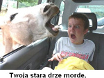 Fotoblog twoistarzy007