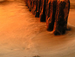 Fotoblog pedzik16