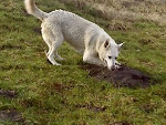 Fotoblog slicznotkaawa