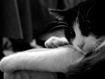 Fotoblog efiriel