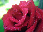 Fotoblog sosinkaa16