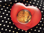 Fotoblog ladybird9
