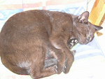 Fotoblog errdragon