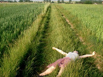 Fotoblog rosemary
