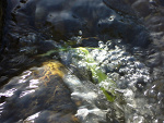 Fotoblog nipoma