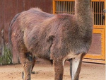 Fotoblog karolekmunio