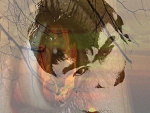 Fotoblog manius47