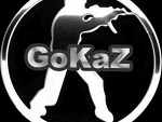 Fotoblog gokaz