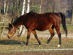 Fotoblog sarol57