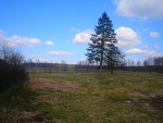 Fotoblog 97julus97