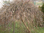 Fotoblog angelika4443