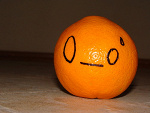 Fotoblog npsngs