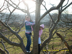 Fotoblog nicedevil666