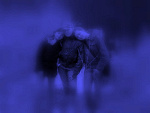Fotoblog anielskiespojzenia