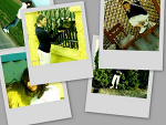Fotoblog 94justina94
