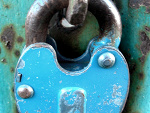 Fotoblog giftigerdbeere