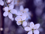 Fotoblog adzik1312