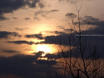 Fotoblog vanilka131
