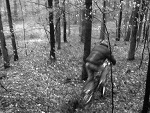 Fotoblog mtbniemo
