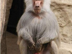 Fotoblog mleko997