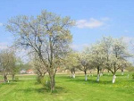 Fotoblog vavamuffin