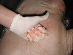 Fotoblog xifs