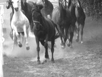 Fotoblog maadziaa2