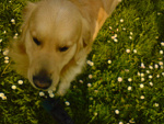 Fotoblog anciowydisney