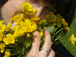 Fotoblog syku18