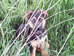 Fotoblog marlenuska