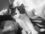 Fotoblog xhoneykissx