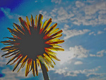 Fotoblog voodoogirl