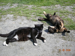 Fotoblog rozpruwacz26