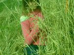 Fotoblog jessi13