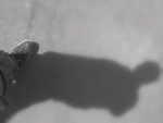 Fotoblog wokkie94