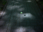 Fotoblog daga90