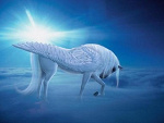 Fotoblog pegasus181