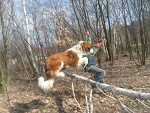 Fotoblog smitula