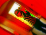 Fotoblog xxxaginszaxxx