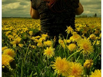 Fotoblog saruuu