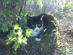 Fotoblog daria1562