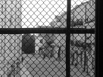 Fotoblog paula171