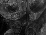Fotoblog mlodagniewna89
