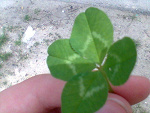Fotoblog milcia0o1