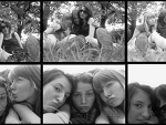 Fotoblog wscieklosc