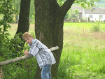 Fotoblog kaczak12