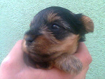 Fotoblog anna1602