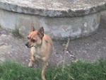 Fotoblog renata18