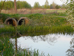 Fotoblog blizniaczki2